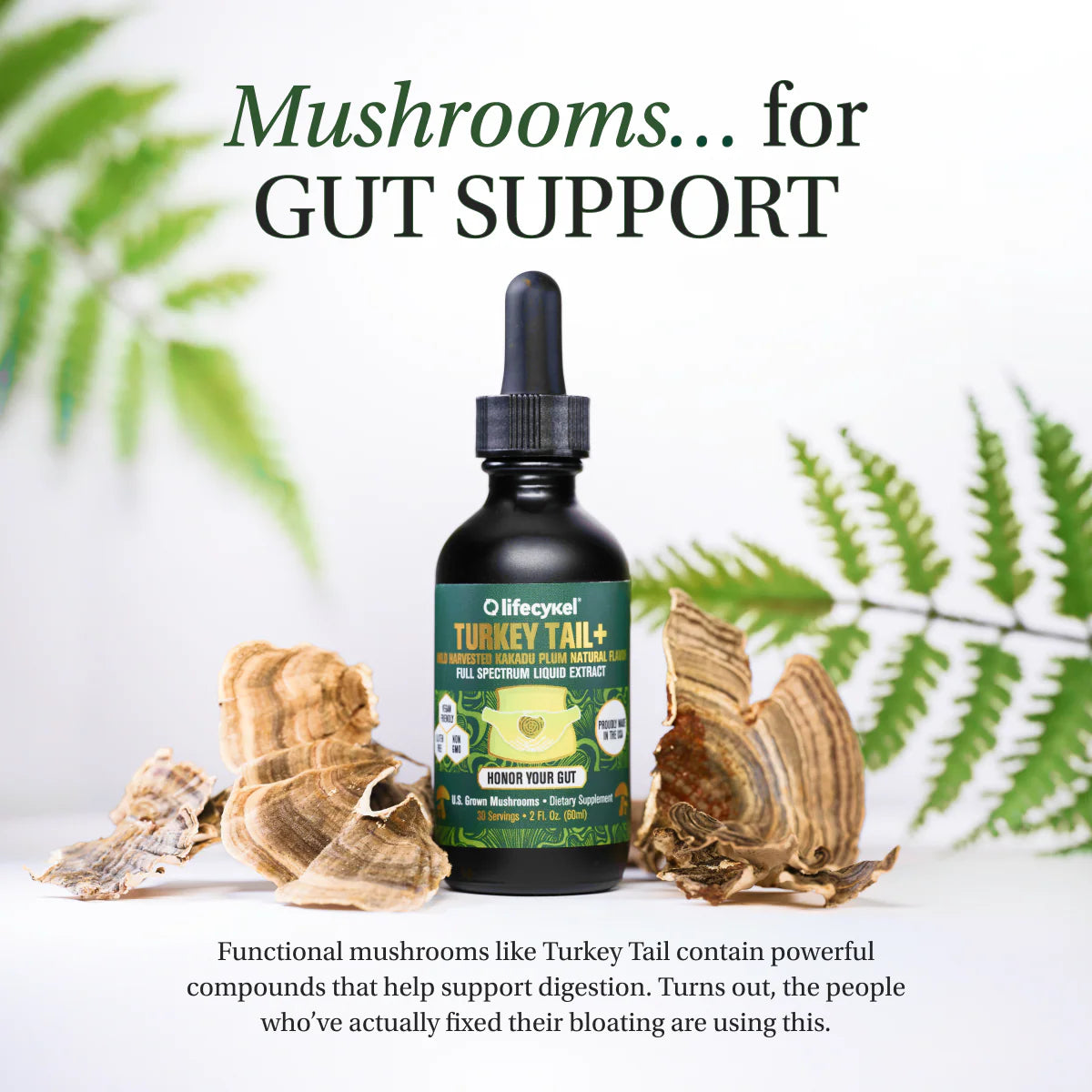 Life Cykel - Turkey Tail Mushroom Extract