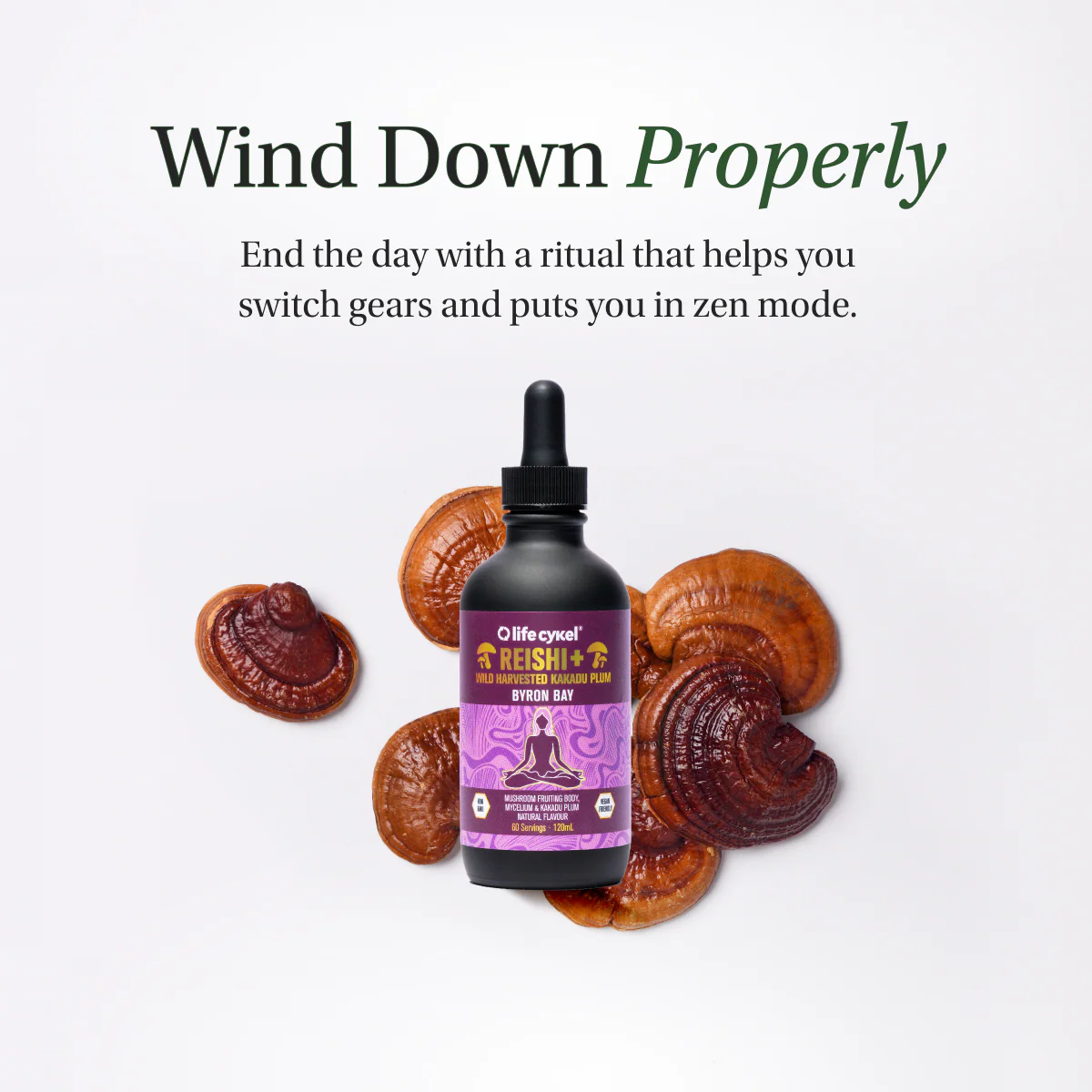 Life Cykel - Reishi Mushroom Extract