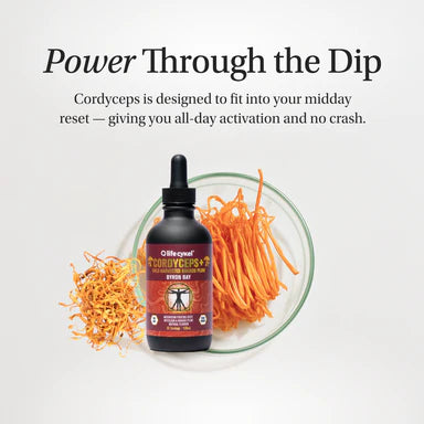 Life Cykel - Cordyceps Mushroom Extract