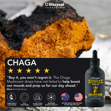 Life Cykel - Chaga Mushroom Extract