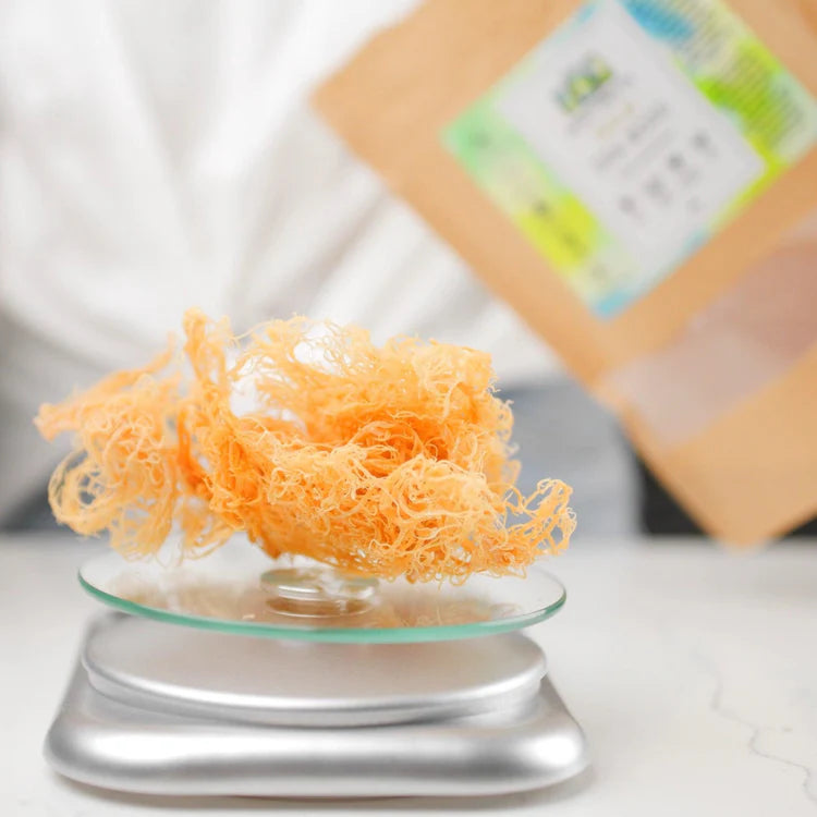 Nature’s Farmer Sea – Raw Irish Sea Moss